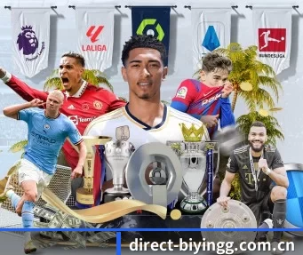 direct-biyingg.com.cn APP