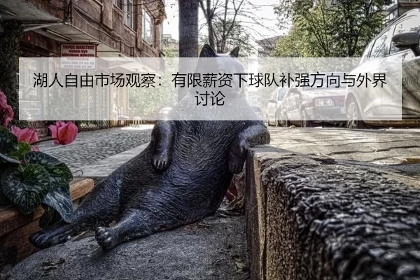湖人自由市场观察：有限薪资下球队补强方向与外界讨论