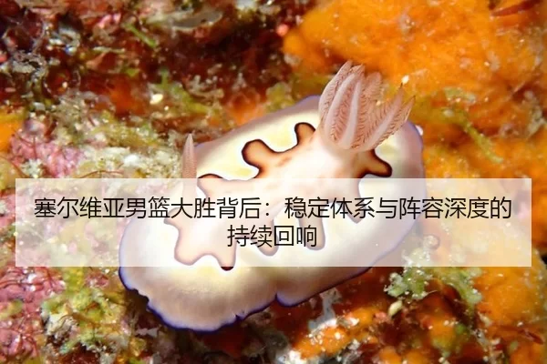 塞尔维亚男篮大胜背后：稳定体系与阵容深度的持续回响